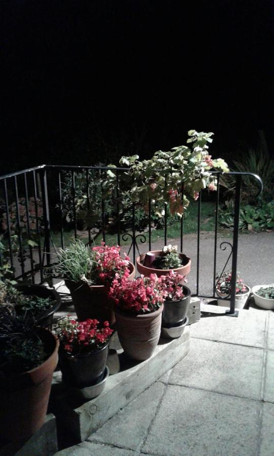 Woodpeckers Cottage B&B Pett ภายนอก รูปภาพ