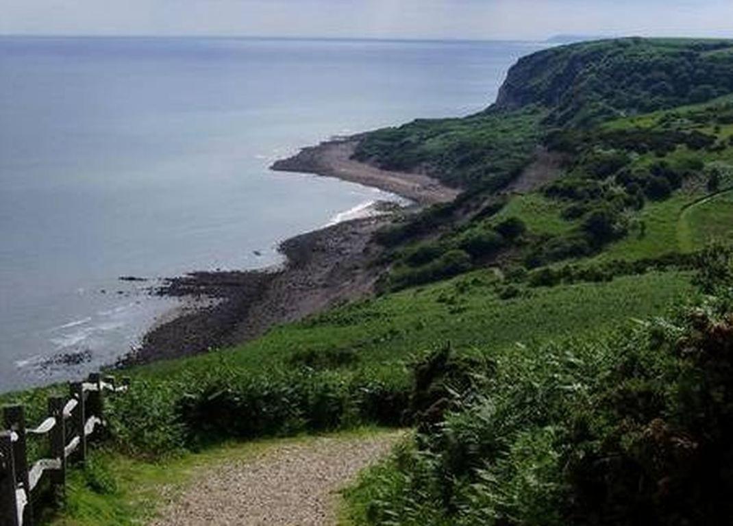 Woodpeckers Cottage B&B Pett ภายนอก รูปภาพ