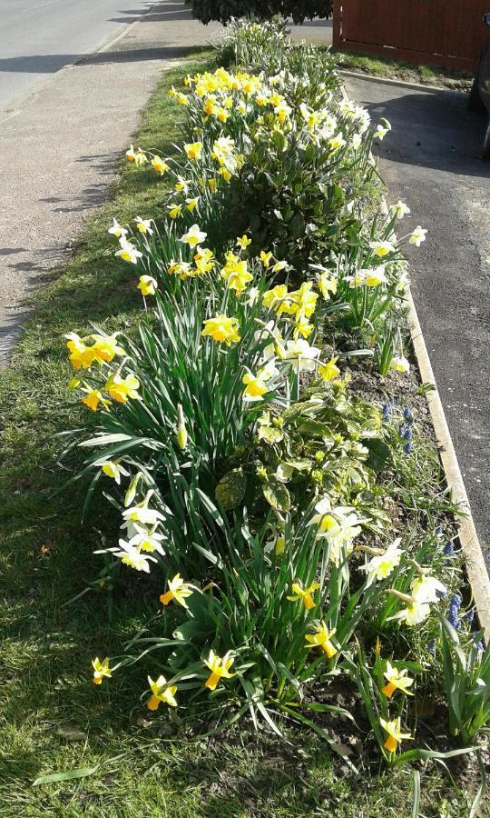 Woodpeckers Cottage B&B Pett ภายนอก รูปภาพ