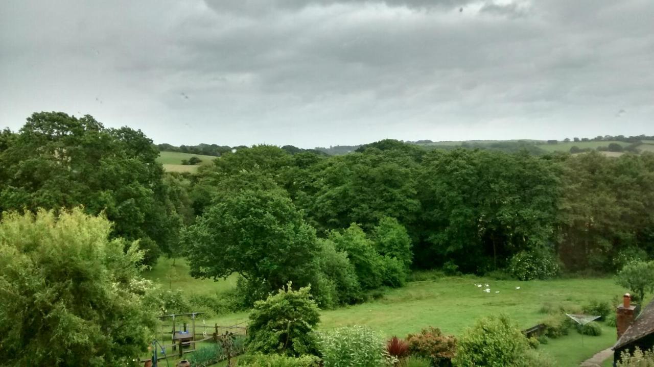 Woodpeckers Cottage B&B Pett ภายนอก รูปภาพ