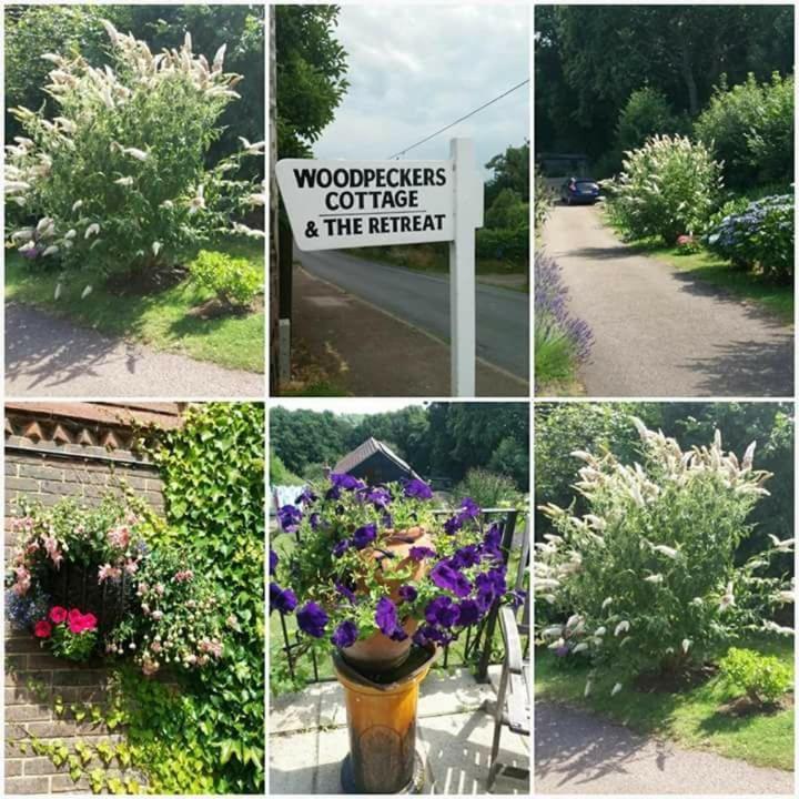 Woodpeckers Cottage B&B Pett ภายนอก รูปภาพ
